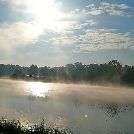 Mohr Am
